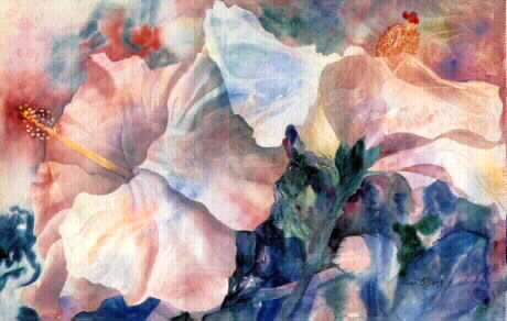 Island Hibiscus