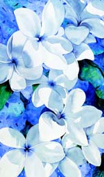"Plumeria Shadows" by Carli Oliver