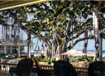 Banyan Tree, Moana Hotel