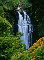 "Nanue Falls" by Juno Galang