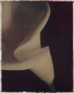 Calla III