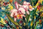 Pink Orchid