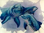 Hello! Dolphins